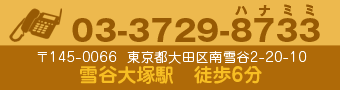 tel:03-3729-8733