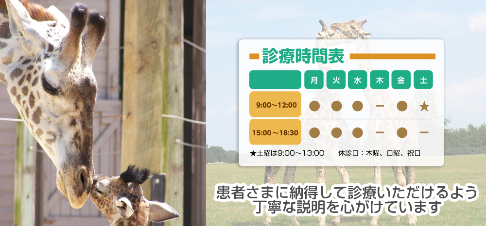 キービジュアル